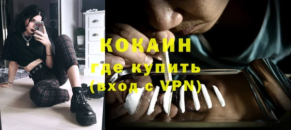 PSILOCYBIN Михайлов