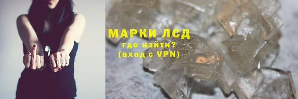 PSILOCYBIN Михайлов