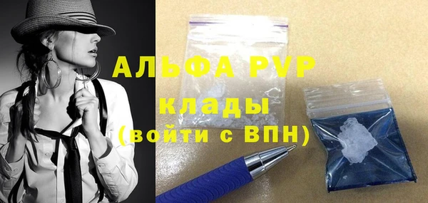 стафф Алексин